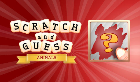 Scratch & Guess Animals